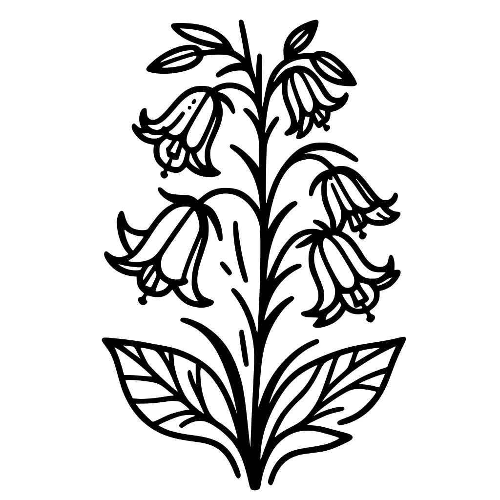 coloriage-campanule-imprimer-gratuit-moncoloriage-fr