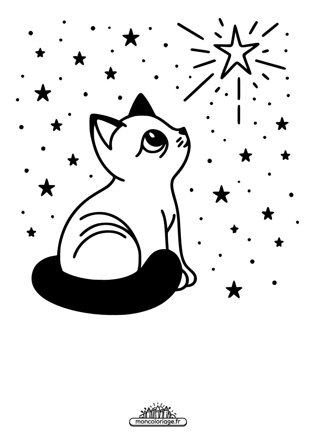 Chat et étoiles