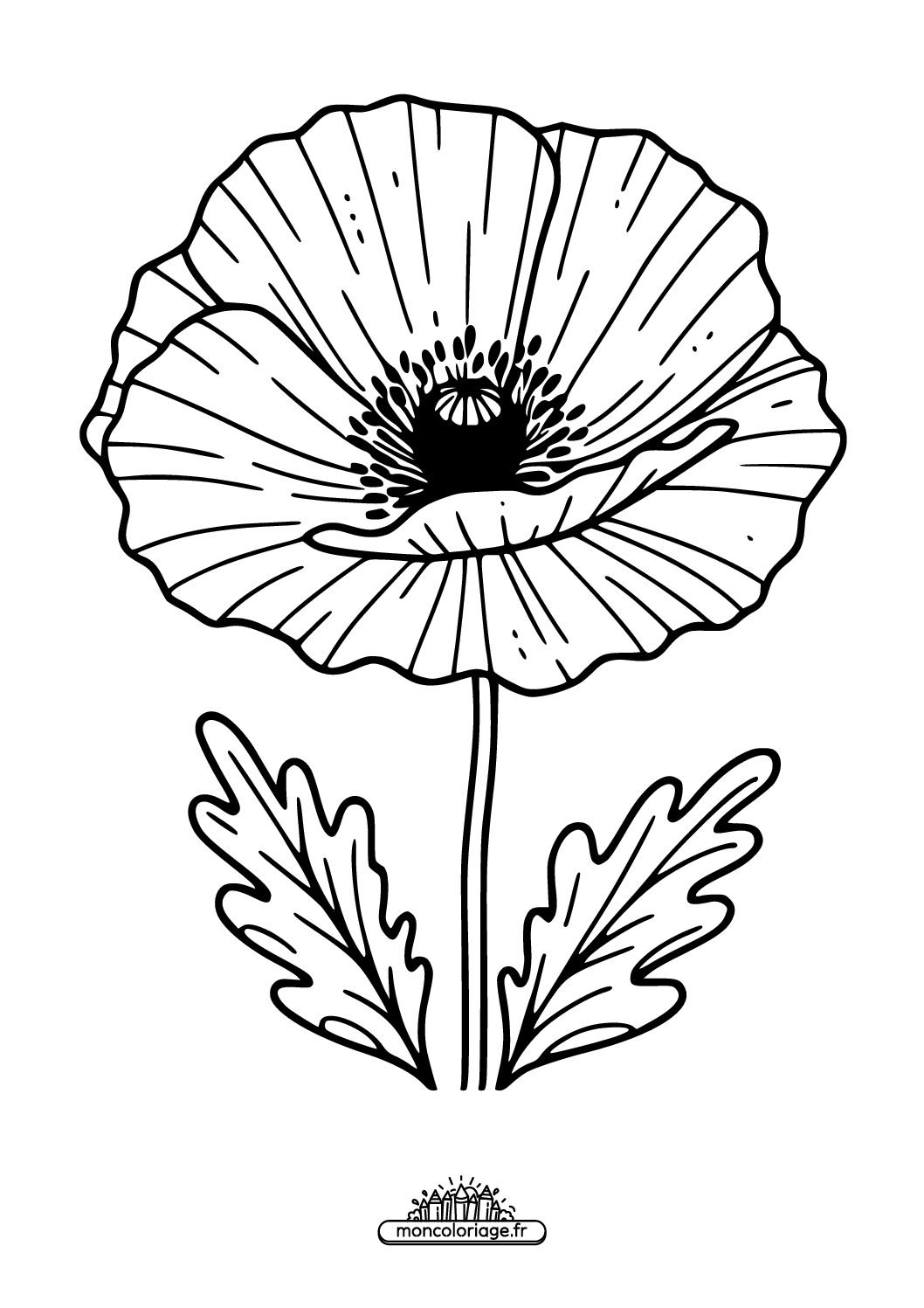 Coquelicot