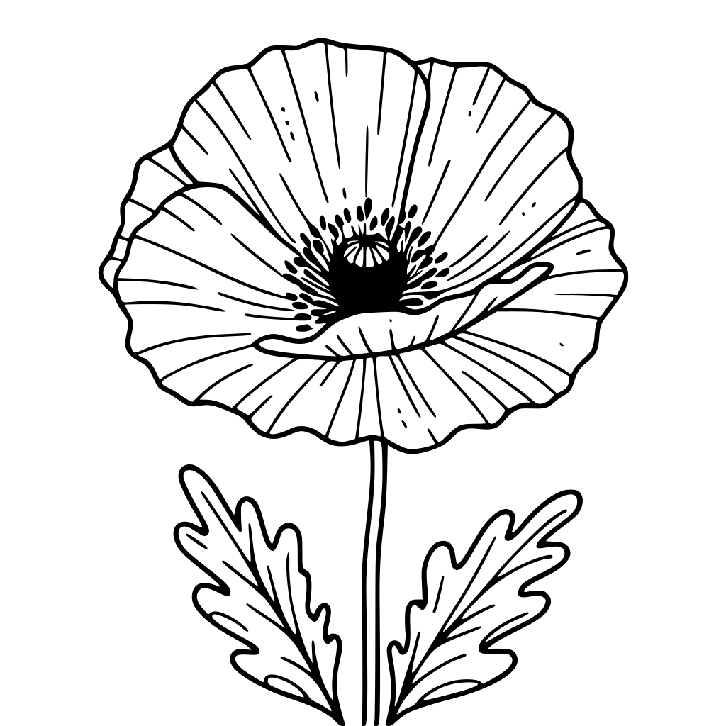 Coloriage Coquelicot à imprimer gratuit - MonColoriage.fr