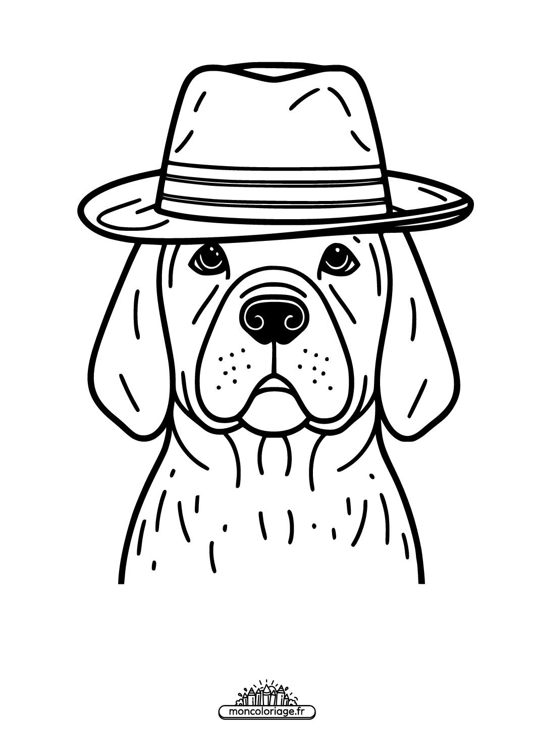 Chien avec un chapeau