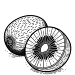 Aperçu du dessin kiwi à imprimer