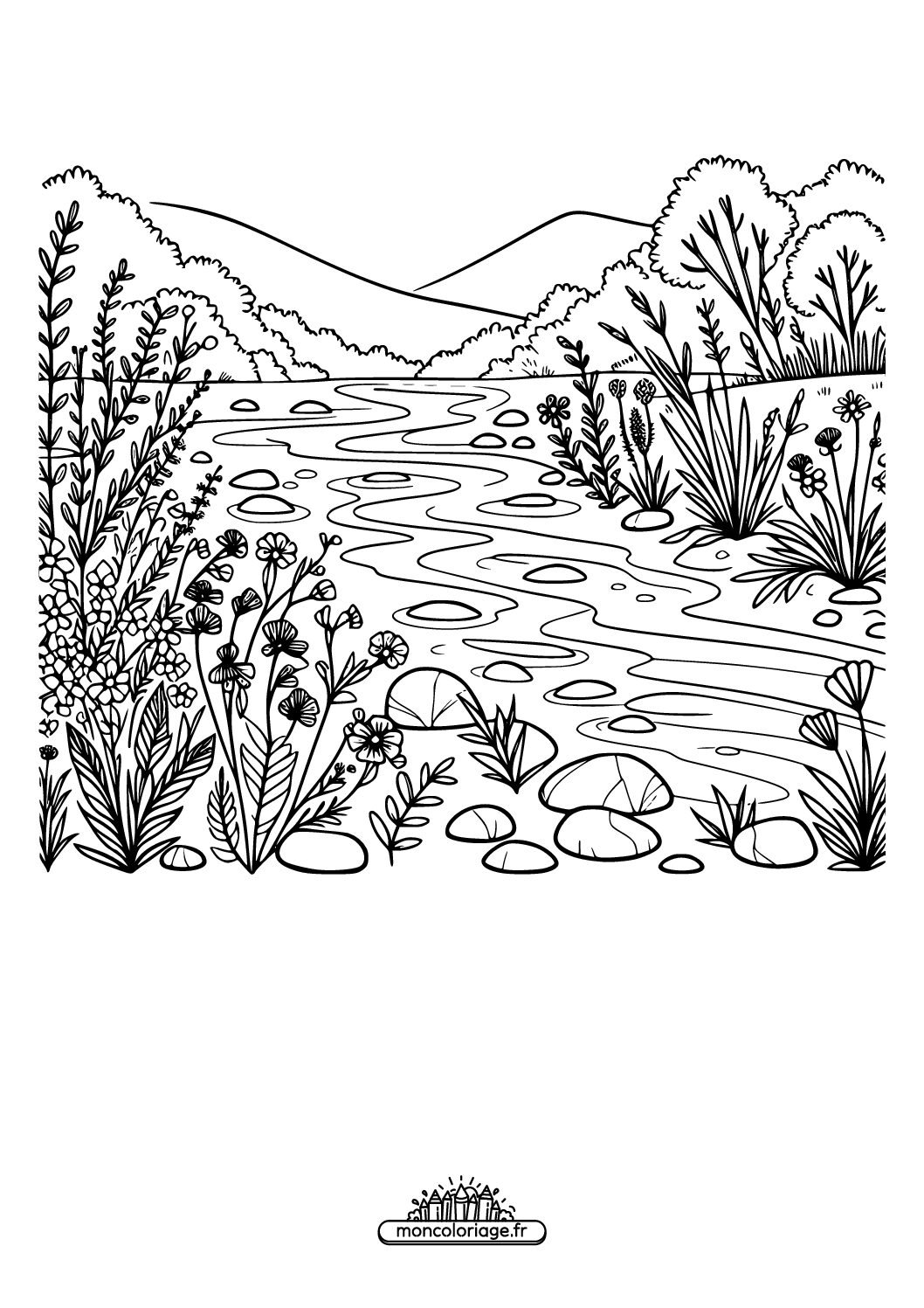 Rive de rivière