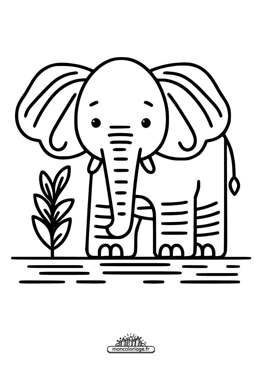 Éléphant