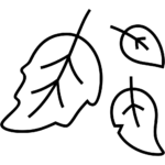 Aperçu du dessin émoji feuille tombée à imprimer