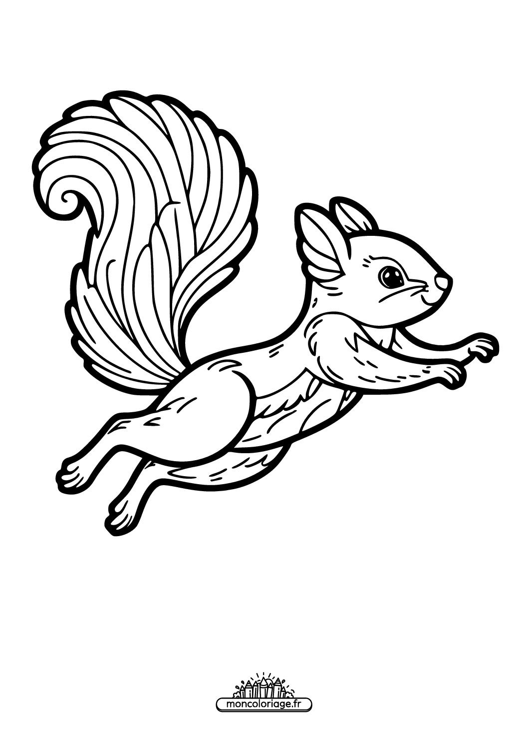 Ecureuil sautant