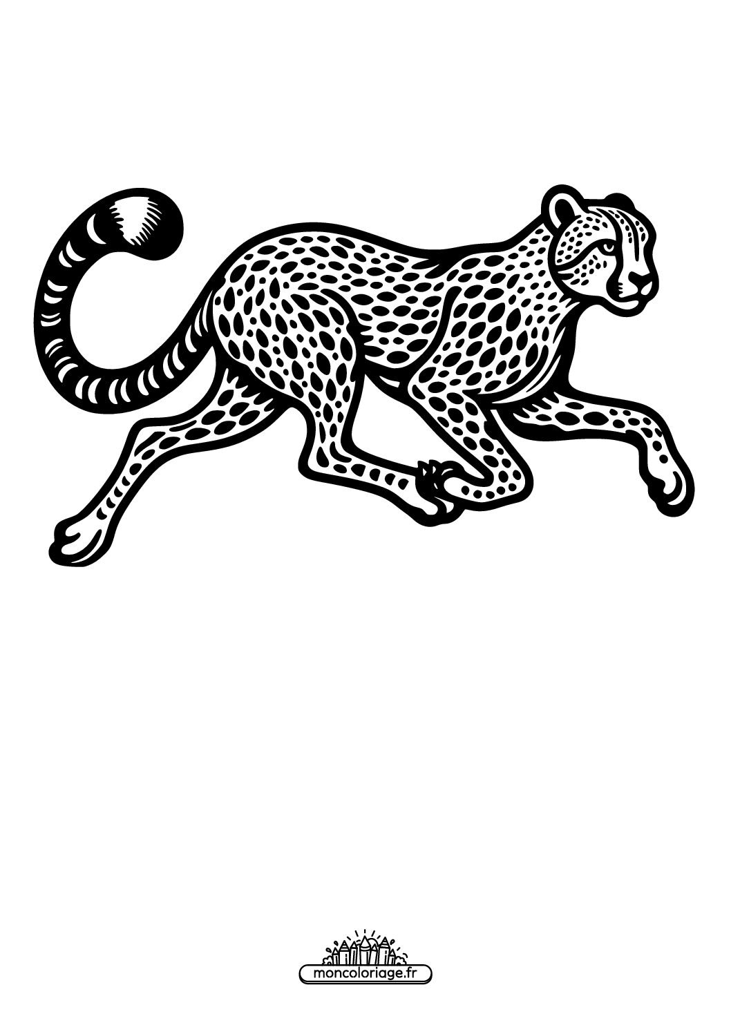 Guépard courant