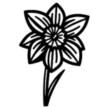 Aperçu du dessin jonquille à imprimer