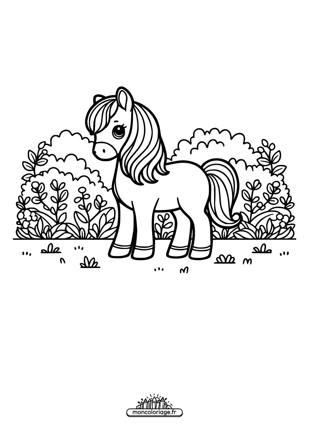 Poney dans le jardin